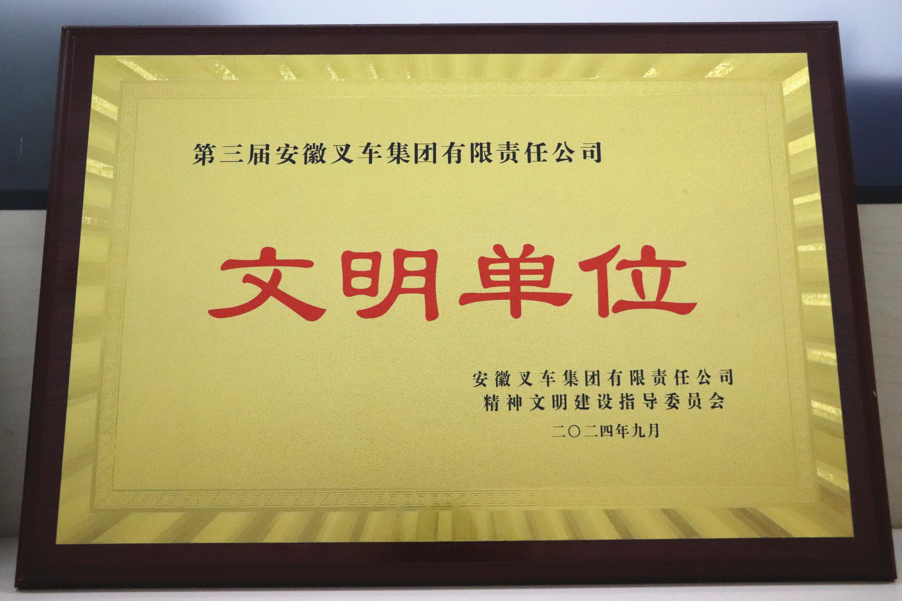 1.第三届久久AV无码乱码A片无码波多文明单位-奖牌 (2).JPG